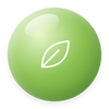 Gingembre bio & menthe poivrée