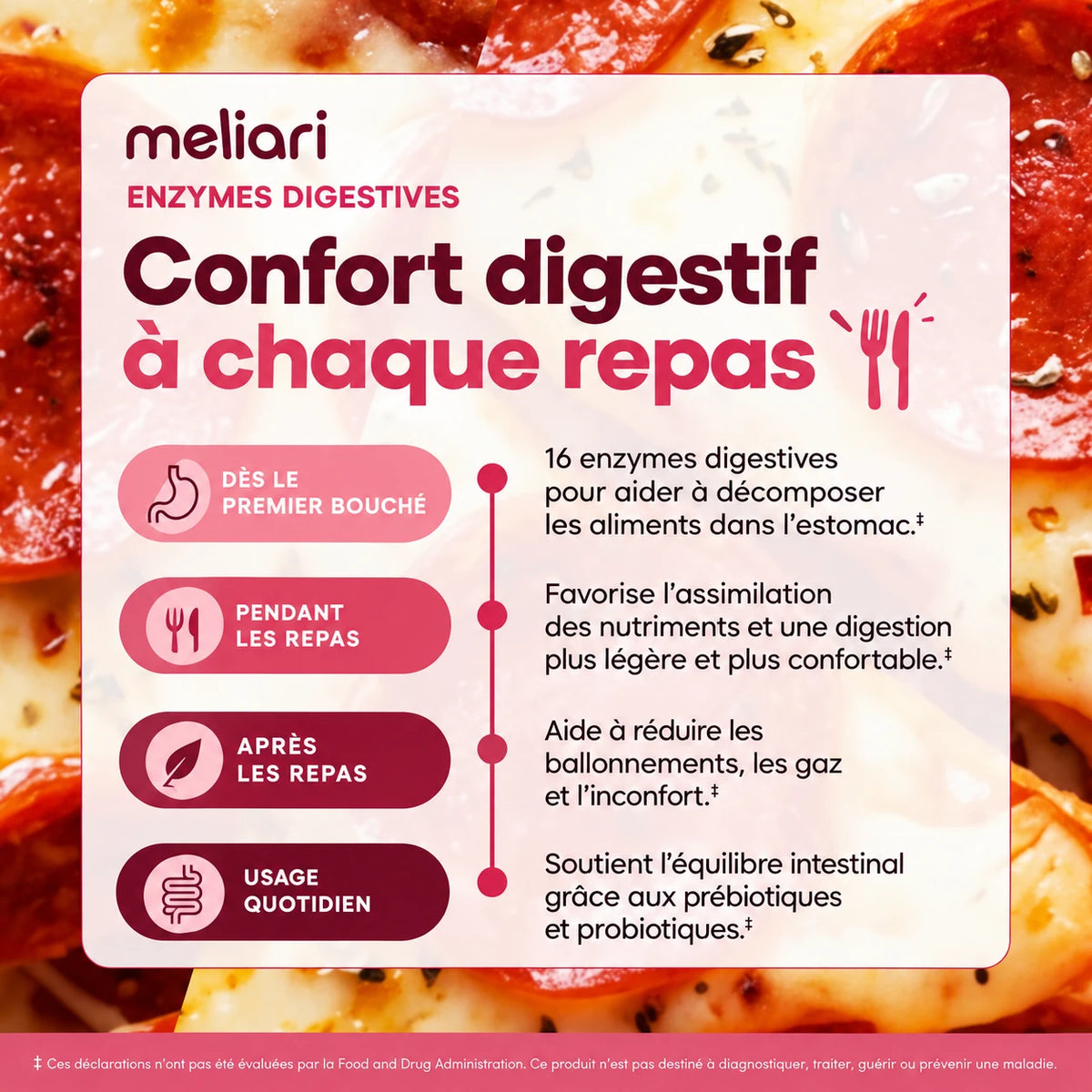 Confort digestif à chaque repas : de la première bouchée à l'usage quotidien