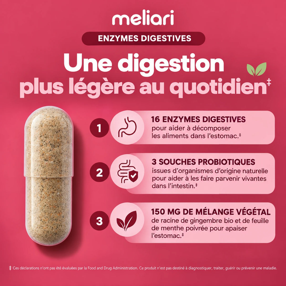 Une gélule : 16 enzymes, 3 souches probiotiques, 150 mg de mélange végétal